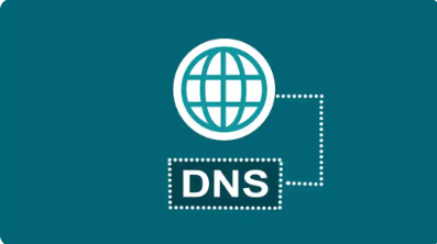 DNS update on cPanel